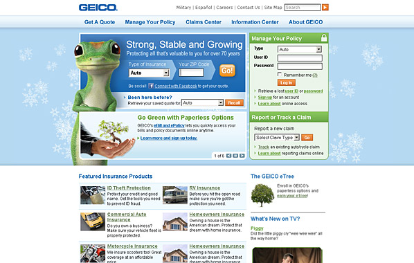 Winter background, financial strength headline, going green promotion